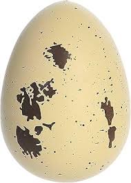 JUMBO GROW DINO EGG