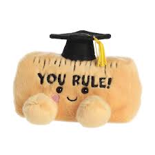 5" YOU RULE RULER