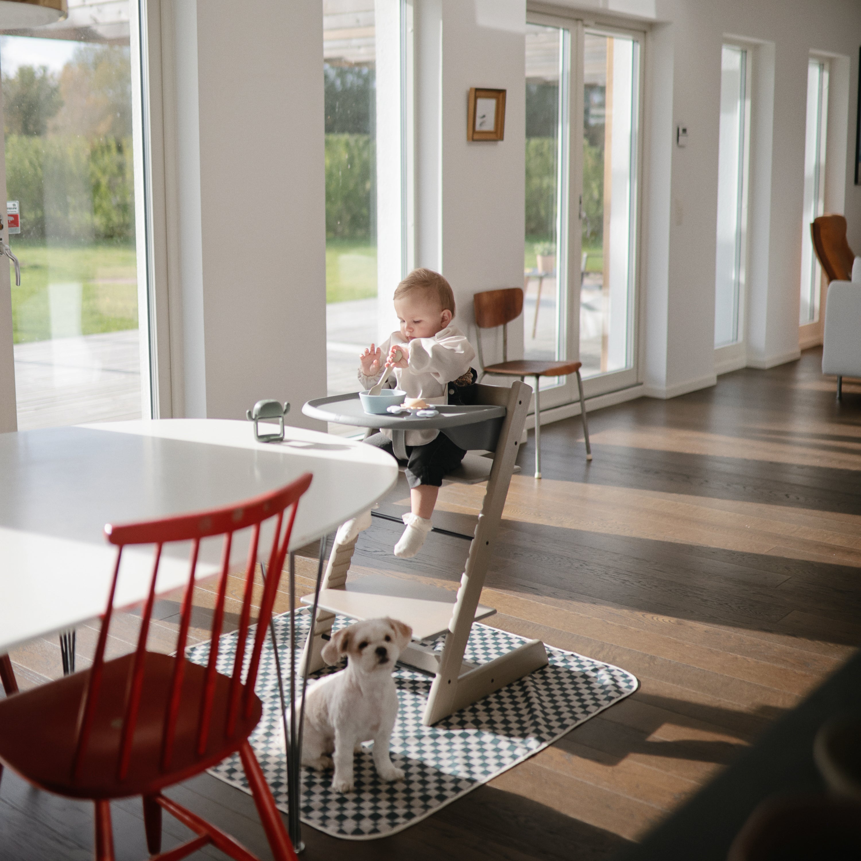 Image of Silicone Suction Bowl