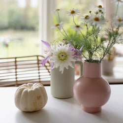 Image of Bath Rinse Cup