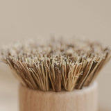 Pot Scrubber - Eco Friendly Scrub Brush, Bamboo, Plastic Free, Compostable