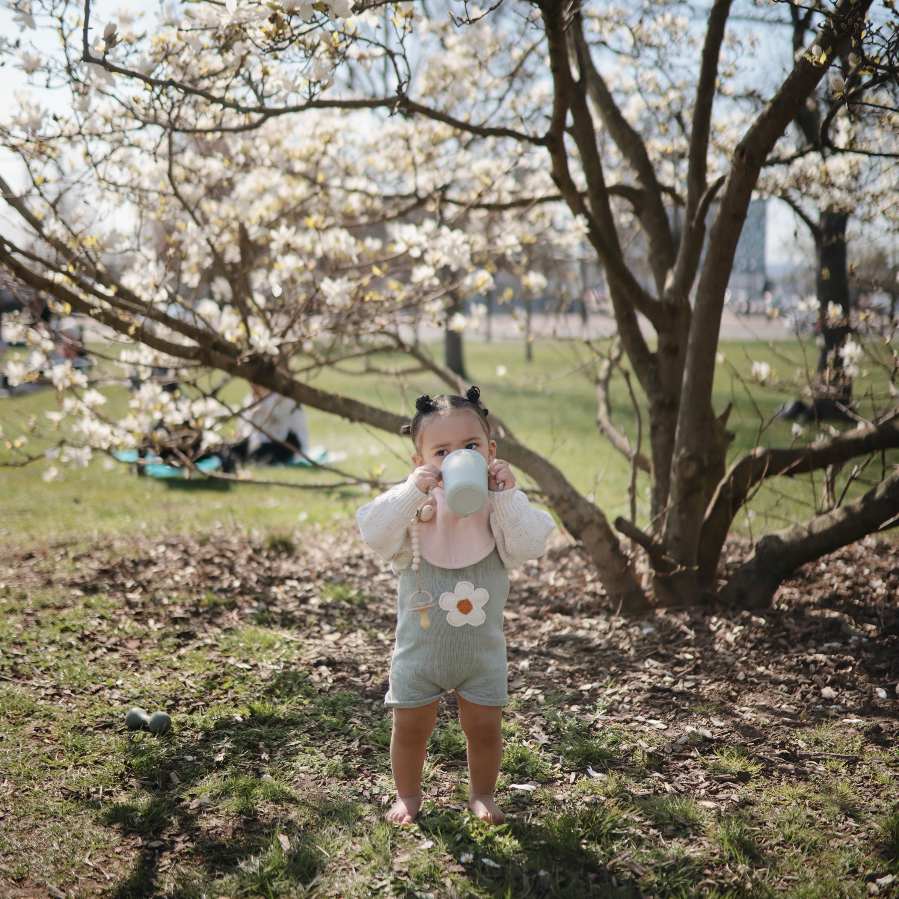 Image of Silicone Pacifier Clip | Hera