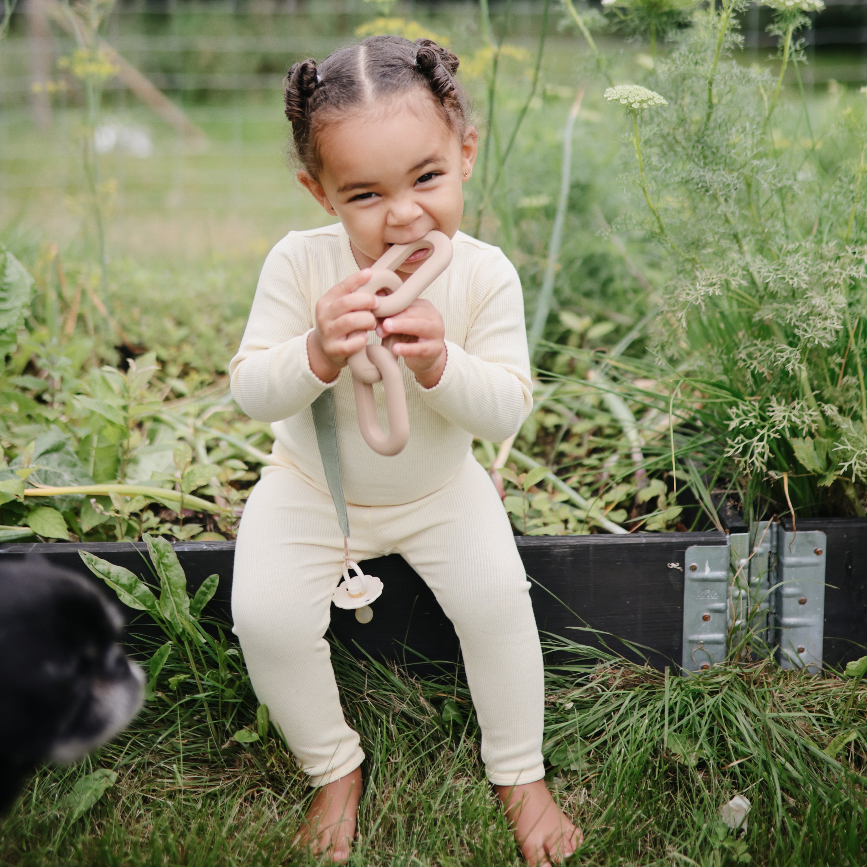 Image of FRIGG Daisy Natural Rubber Pacifier 2-Pack