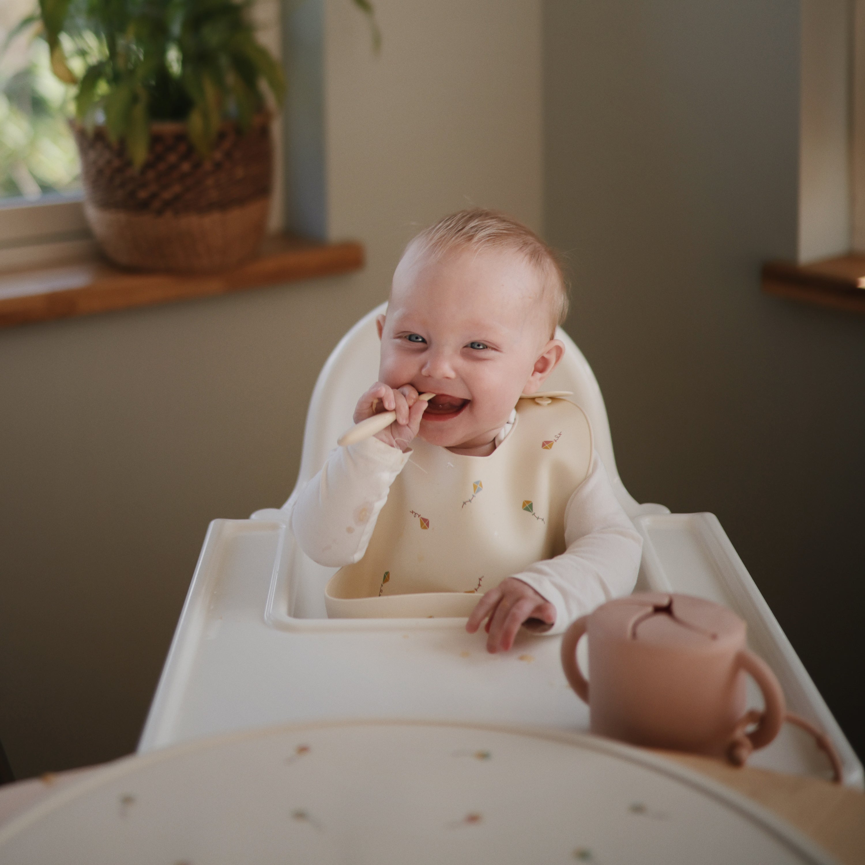 Image of Silicone Baby Bib