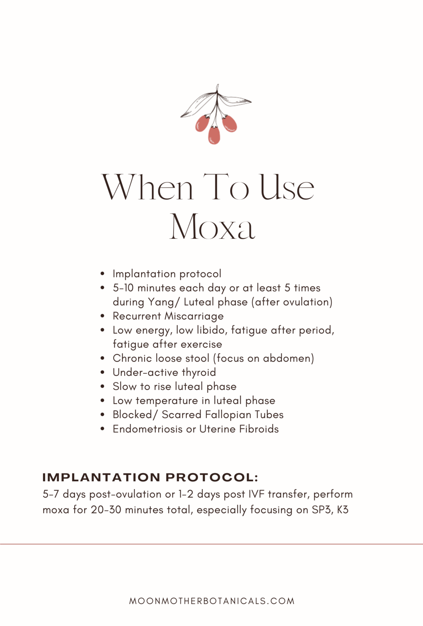 Image of Endometriosis/ Fibroid Bundle