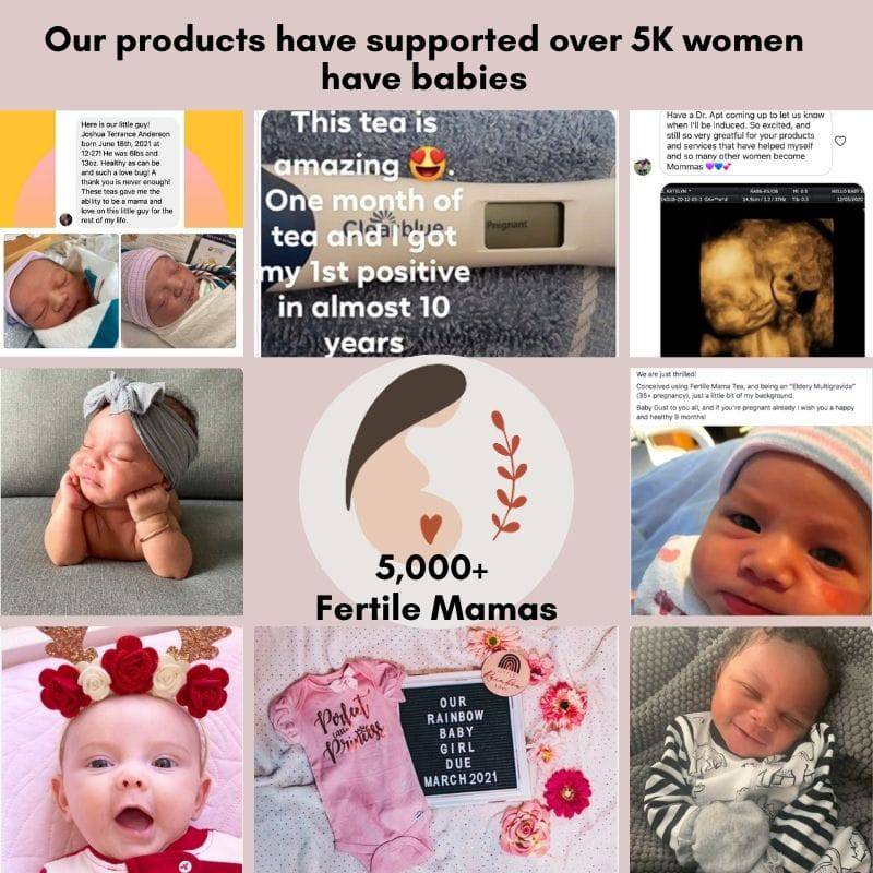 IUI/ IVF Prep and Support Bundle