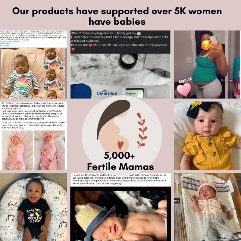 IUI/ IVF Prep and Support Bundle