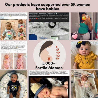 IUI/ IVF Prep and Support Bundle