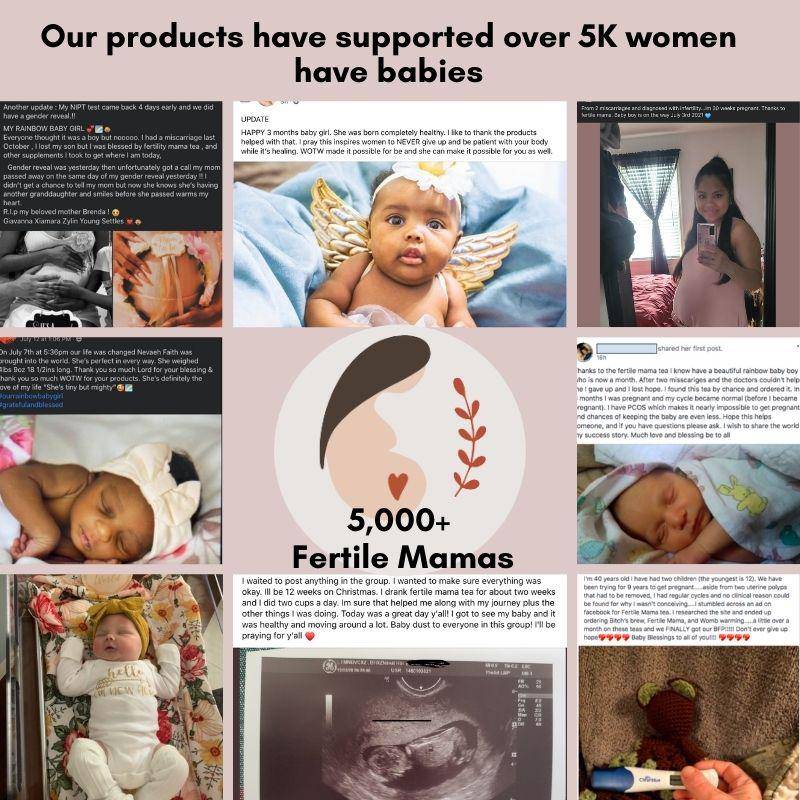 Image of Womb Warming Fertility Bundle