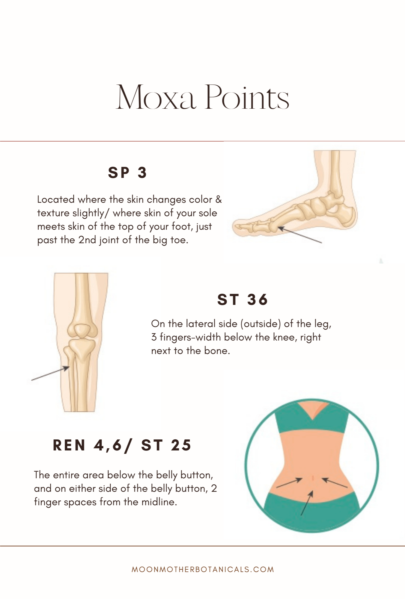 Image of Womb Warming Fertility Bundle