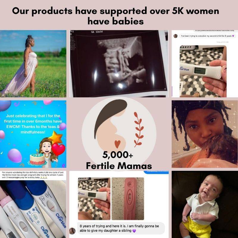 Image of 3 Month's Supply of Fertility Teas Bundle