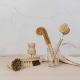 Vegetable Brush - Vegetable Scrubber, Eco-Friendly, Plastic Free, Compostable